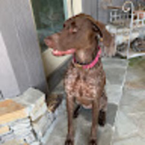 Meet your Posher, Mary martin